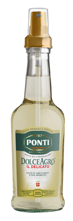 ponti-dolceagro-classico-spray-condiment-aigre-doux-en-spray image 1